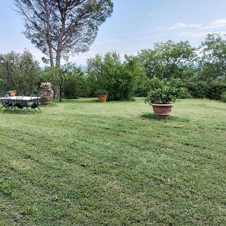 Agriturismo Bellandi Santa Lucia  Exterior foto